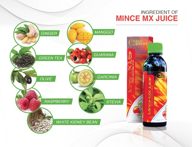 Diet Atkins Cara dan Tips Menu Induction Cepat Kurus