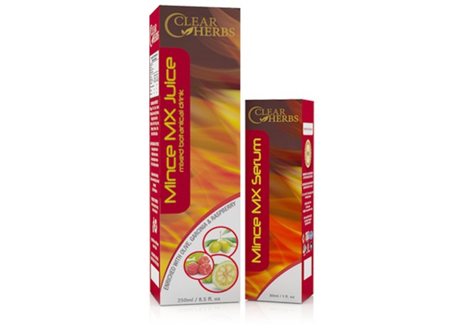 Diet Atkins Cara dan Tips Menu Induction Cepat Kurus