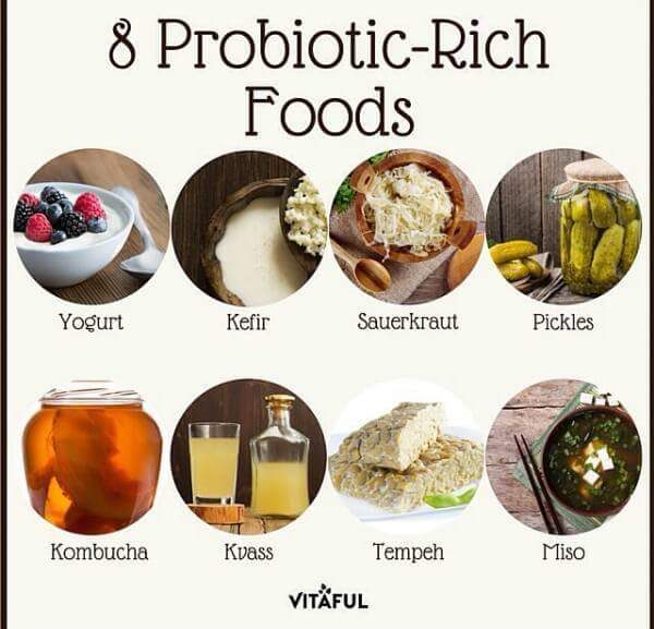 makanan probiotik lawas pembuangan air besar