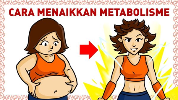 cara menaikkan metabolisma